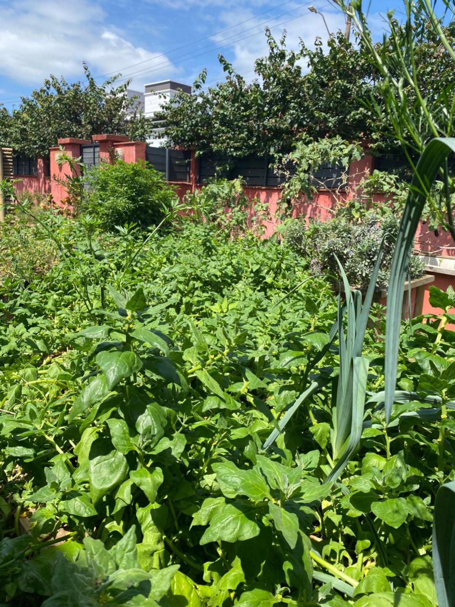 Janela De Marcia Bed And Breakfast — Photos 2